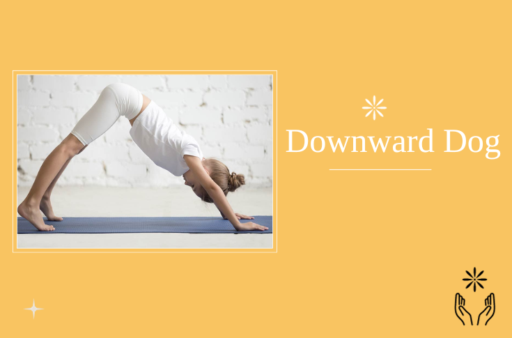 Downward Dog | Yoga for Kids