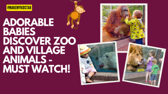 Zoo and Village Animals
